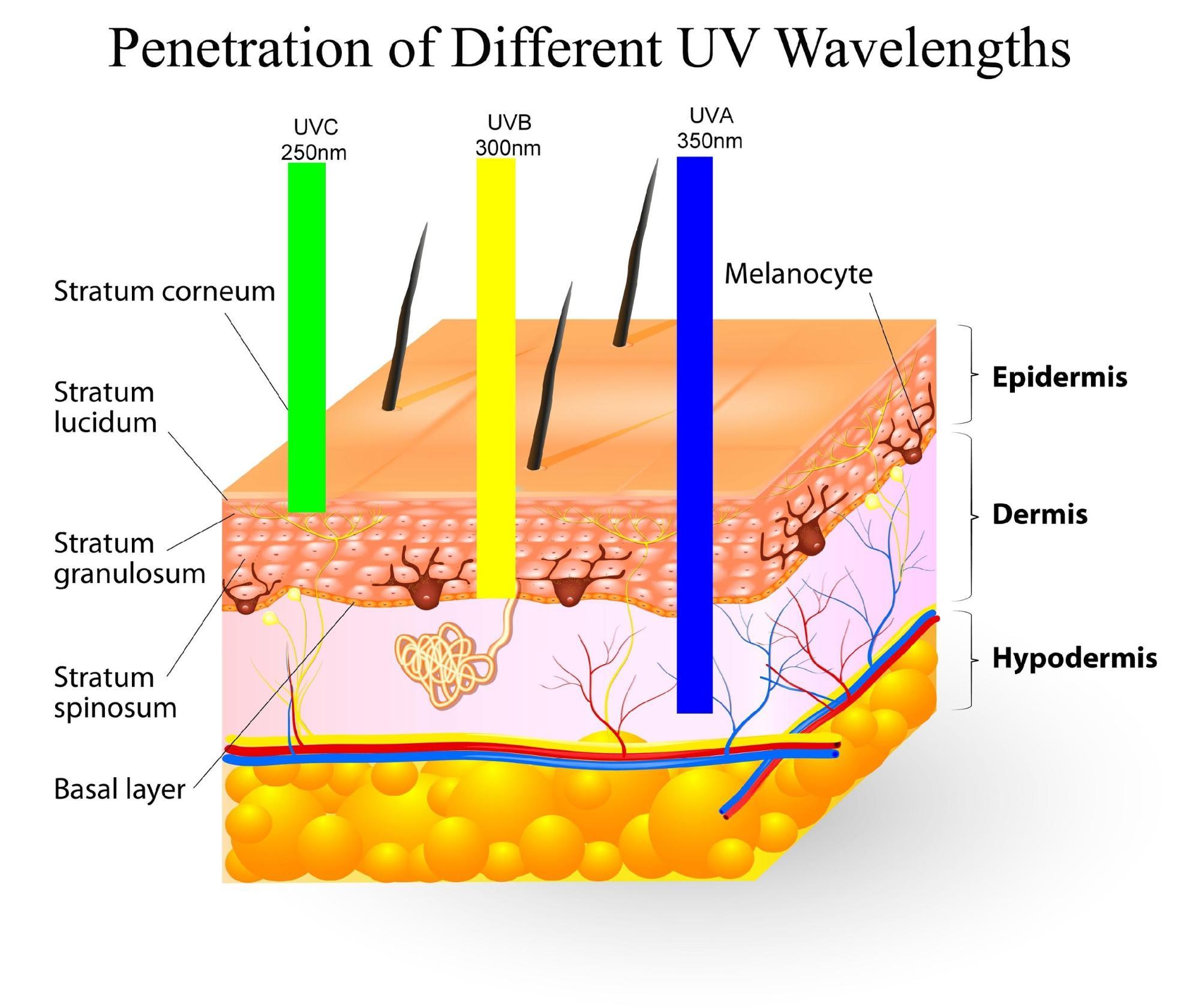 UV Wavelengths