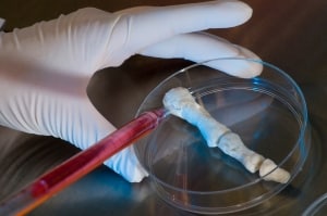 Photos from the Wake Forest Lab