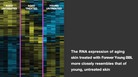 RNA Expression Skin