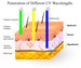 Different UV Wavelengths